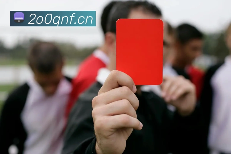 星空网官网免费入口发展历程