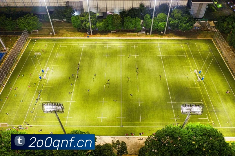 专业盘点：世界杯滚球视频大全，捕捉赛场每一刻动态